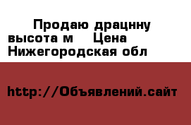 Продаю драцнну высота2м. › Цена ­ 2 000 - Нижегородская обл.  »    